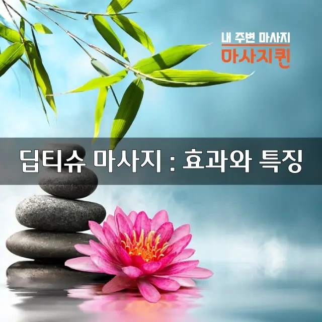 딥티슈마사지효과와특징.webp