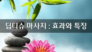 딥티슈마사지효과와특징.webp