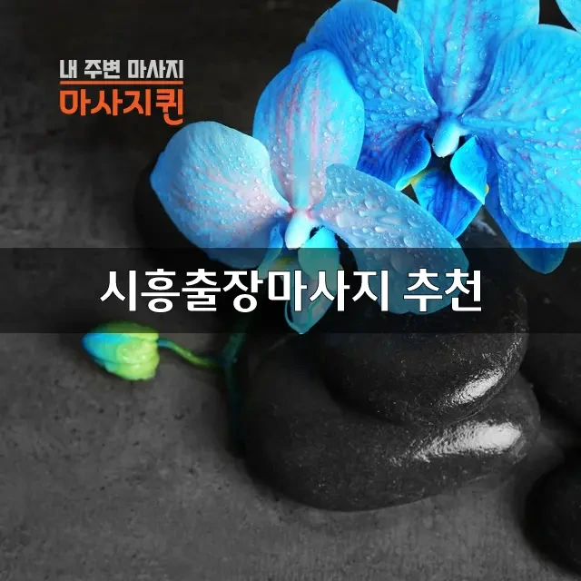 시흥출장마사지추천.webp