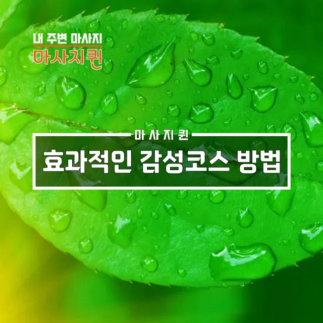 효과적인감성코스방법.webp