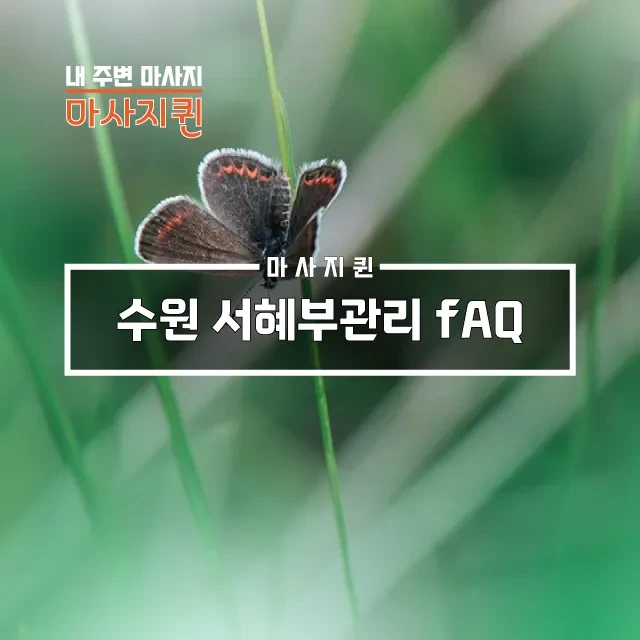 수원서혜부관리FAQ.webp