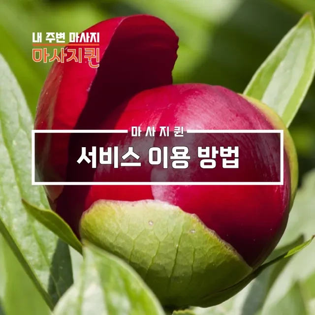 서비스이용방법.webp