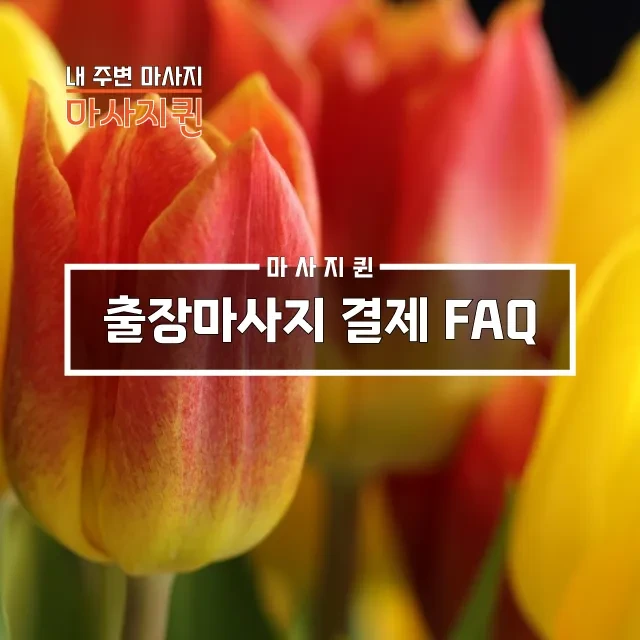 출장마사지결제FAQ.webp